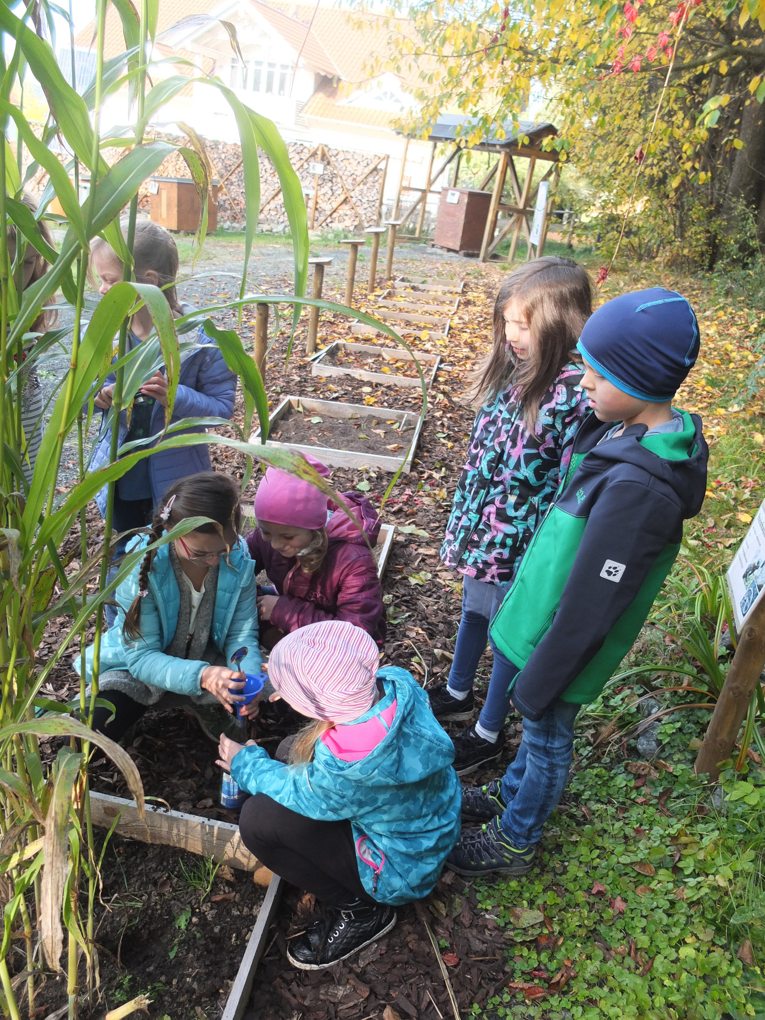 Mini-Biogas-Anlage